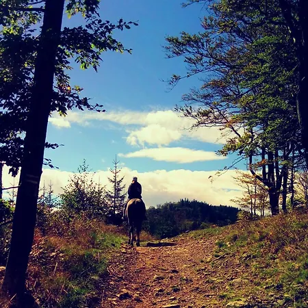 Klaudia Hotel Juszczyn