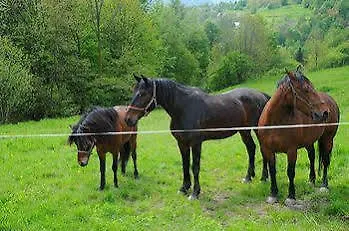 Szálloda Klaudia 3*