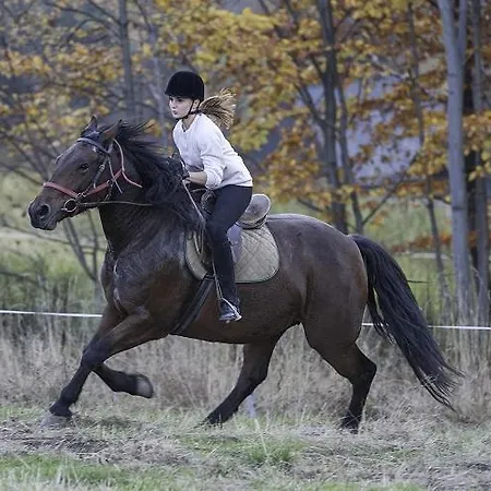 Klaudia 3*