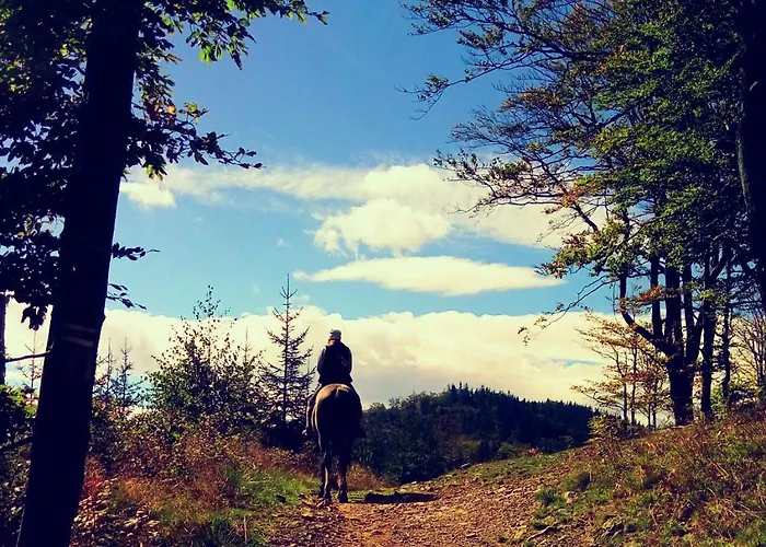 Klaudia Hotel Juszczyn